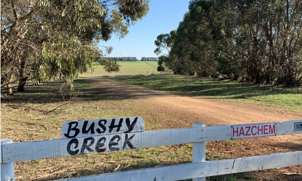 Bushy Creek Wind Farm - Newen Australian