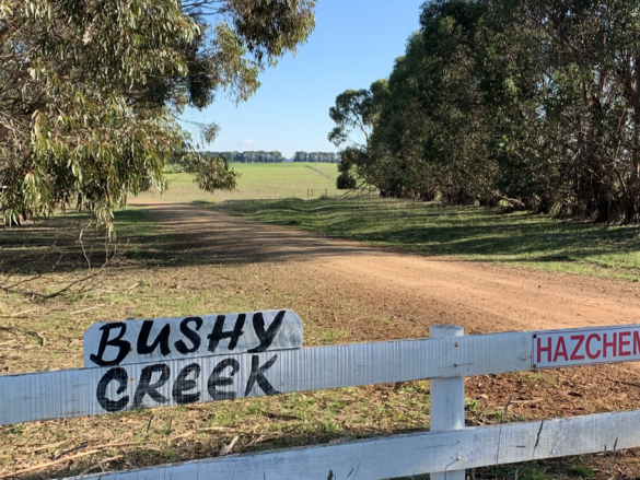 Bushy Creek Wind Farm - Newen Australian